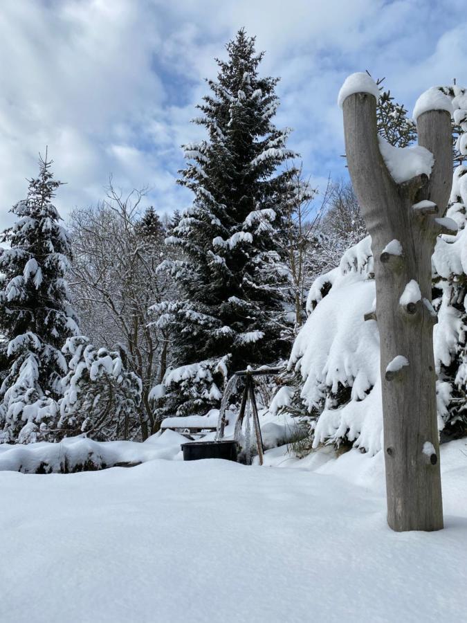 Pension Erban Hotel Spindleruv Mlyn Exterior photo